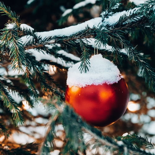 Waldweihnacht Halsbach 2022 2024: Weihnachtsmarkt in Halsbach